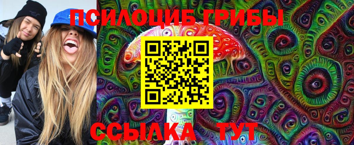 Псилоцибиновые грибы Psilocybe  Вход с VPN  Галлюциногенные грибы ЛСД  Зеленокумск 