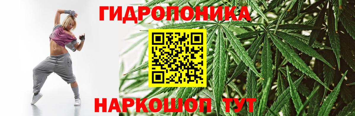 Бошки Шишки сатива Зеленокумск